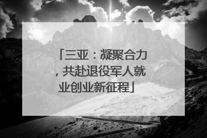 三亚：凝聚合力，共赴退役军人就业创业新征程