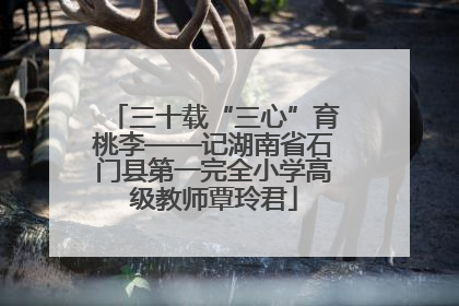 三十载“三心”育桃李——记湖南省石门县第一完全小学高级教师覃玲君