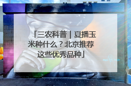 三农科普｜夏播玉米种什么？北京推荐这些优秀品种