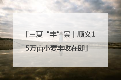 三夏“丰”景｜顺义15万亩小麦丰收在即