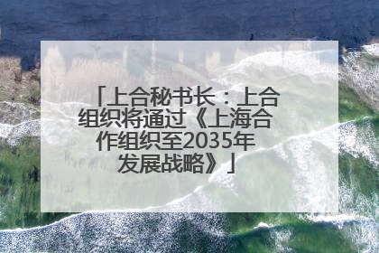上合秘书长：上合组织将通过《上海合作组织至2035年发展战略》