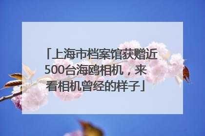 上海市档案馆获赠近500台海鸥相机，来看相机曾经的样子