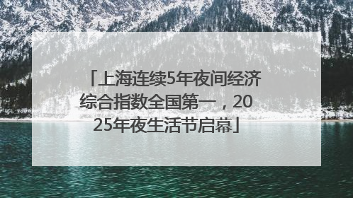 上海连续5年夜间经济综合指数全国第一，2025年夜生活节启幕