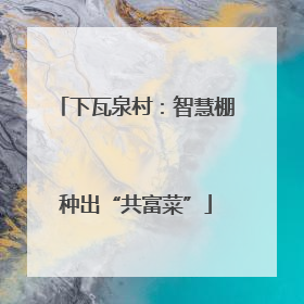 下瓦泉村：智慧棚种出“共富菜”