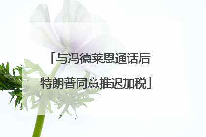 与冯德莱恩通话后 特朗普同意推迟加税