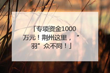 专项资金1000万元！荆州这里，“羽”众不同！