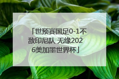 世预赛国足0-1不敌印尼队 无缘2026美加墨世界杯