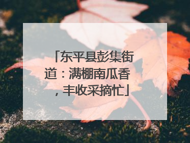 东平县彭集街道：满棚南瓜香，丰收采摘忙