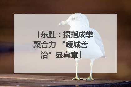 东胜：攥指成拳聚合力 “暖城善治”显真章