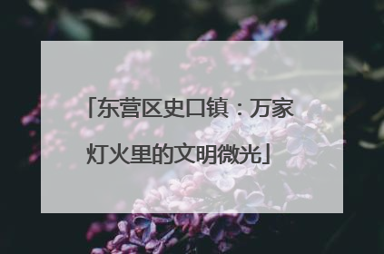 东营区史口镇：万家灯火里的文明微光