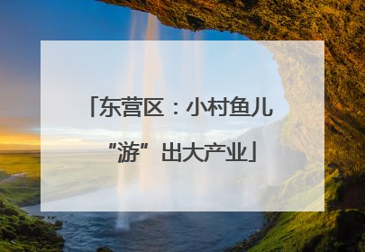 东营区：小村鱼儿“游”出大产业
