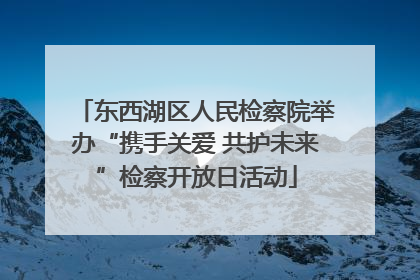 东西湖区人民检察院举办“携手关爱 共护未来”检察开放日活动