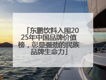 东鹏饮料入围2025年中国品牌价值榜，彰显强劲的民族品牌生命力