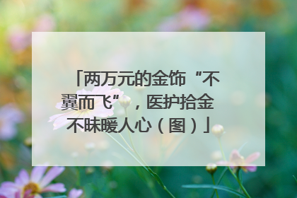 两万元的金饰“不翼而飞”，医护拾金不昧暖人心（图）
