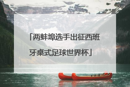 两蚌埠选手出征西班牙桌式足球世界杯