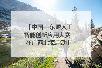 中国—东盟人工智能创新应用大赛在广西北海启动