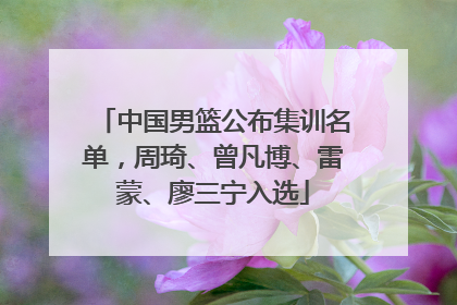 中国男篮公布集训名单，周琦、曾凡博、雷蒙、廖三宁入选