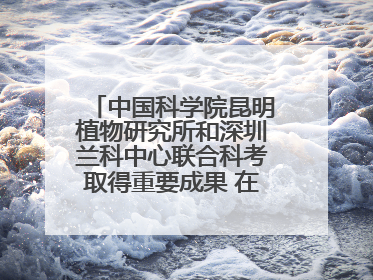 中国科学院昆明植物研究所和深圳兰科中心联合科考取得重要成果 在神农架发现两种“国保”级兰花