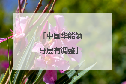 中国华能领导层有调整