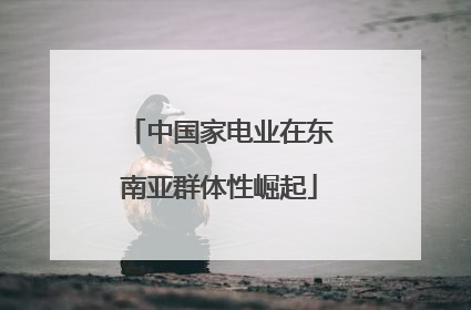 中国家电业在东南亚群体性崛起