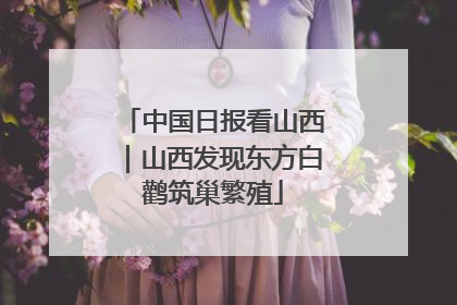 中国日报看山西｜山西发现东方白鹳筑巢繁殖