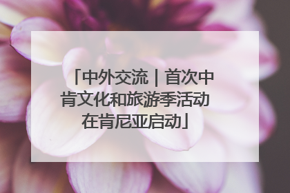 中外交流｜首次中肯文化和旅游季活动在肯尼亚启动