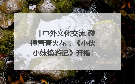 中外文化交流 碰撞青春火花，《小伙小妹换游记》开播