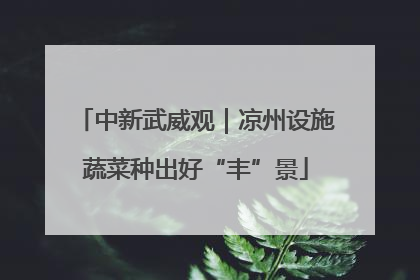 中新武威观｜凉州设施蔬菜种出好“丰”景