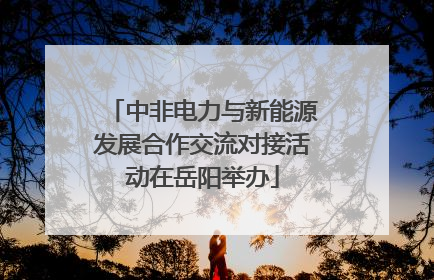中非电力与新能源发展合作交流对接活动在岳阳举办