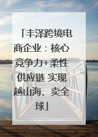 丰泽跨境电商企业：核心竞争力+柔性供应链 实现越山海、卖全球