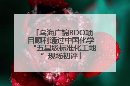 乌海广锦BDO项目顺利通过中国化学“五星级标准化工地”现场初评