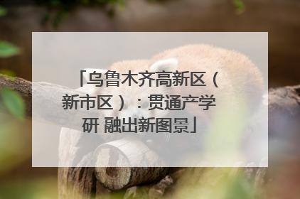 乌鲁木齐高新区（新市区）：贯通产学研 融出新图景