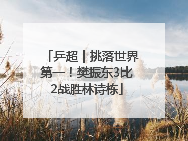 乒超｜挑落世界第一！樊振东3比2战胜林诗栋