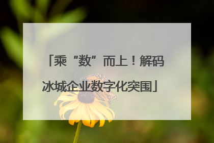 乘“数”而上！解码冰城企业数字化突围