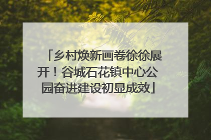 乡村焕新画卷徐徐展开！谷城石花镇中心公园奋进建设初显成效