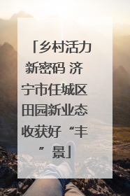 乡村活力新密码 济宁市任城区田园新业态收获好“丰”景