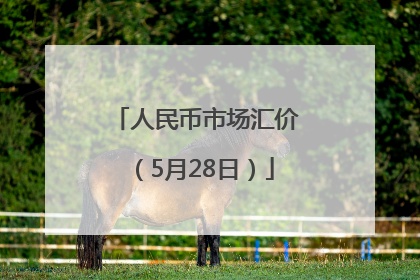 人民币市场汇价（5月28日）