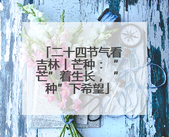 二十四节气看吉林丨芒种：“芒”着生长，“种”下希望