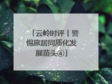 云岭时评丨警惕旅居同质化发展苗头④