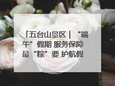 五台山景区｜“端午”假期 服务保障最“粽”要 护航假期“不打烊”