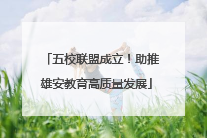 五校联盟成立！助推雄安教育高质量发展
