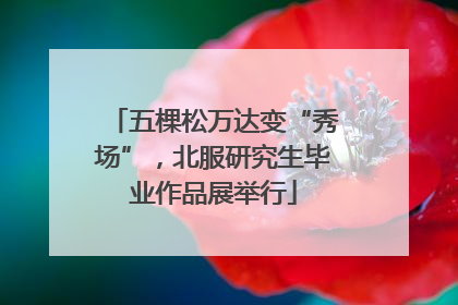 五棵松万达变“秀场”，北服研究生毕业作品展举行