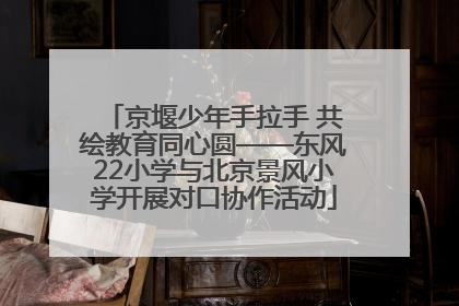 京堰少年手拉手 共绘教育同心圆——东风22小学与北京景风小学开展对口协作活动