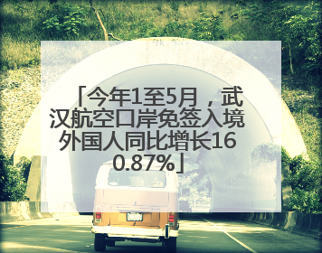 今年1至5月，武汉航空口岸免签入境外国人同比增长160.87%
