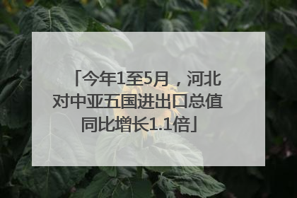 今年1至5月，河北对中亚五国进出口总值同比增长1.1倍