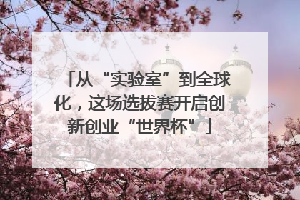 从“实验室”到全球化，这场选拔赛开启创新创业“世界杯”