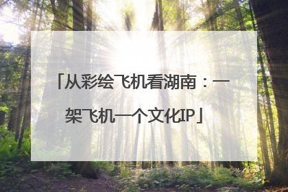 从彩绘飞机看湖南：一架飞机一个文化IP