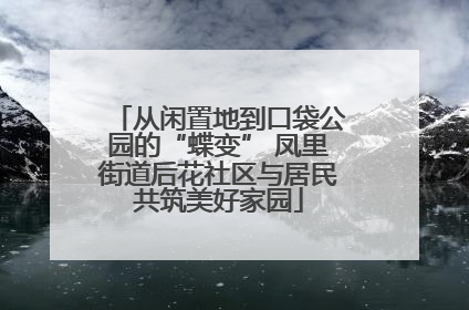 从闲置地到口袋公园的“蝶变” 凤里街道后花社区与居民共筑美好家园