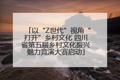 以“Z世代”视角“打开”乡村文化 四川省第五届乡村文化振兴魅力竞演大赛启动