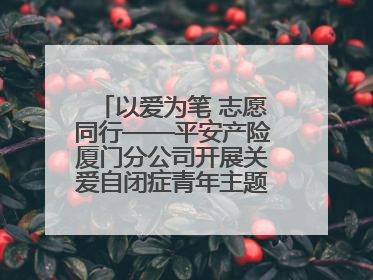 以爱为笔 志愿同行——平安产险厦门分公司开展关爱自闭症青年主题党日活动